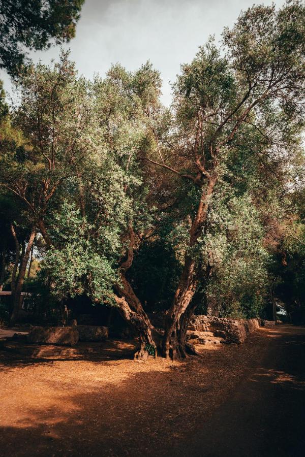 Apartmán I Giardini Di Santomaj Leporano Exteriér fotografie